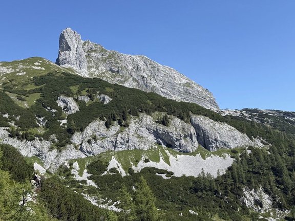 Sturzhahn.jpg
